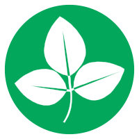 Soy beans on green circle background 
