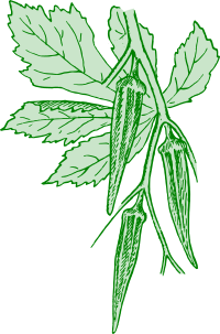 Okra