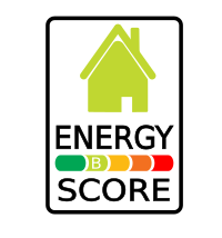 energy score alt