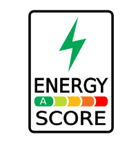 energy score alt 2