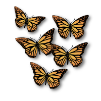 Five Butterflies