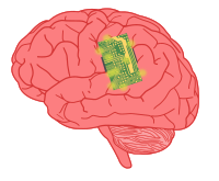 Brain Machine Interface