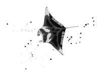 SkyManta