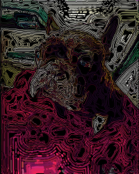 frency 