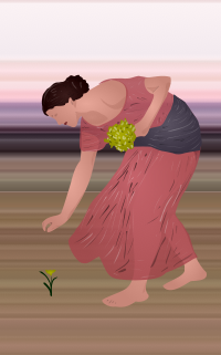 Narcissus