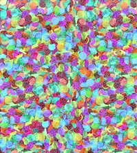 Confetti