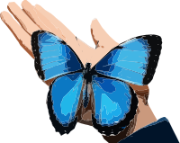 Butterfly in a Hand