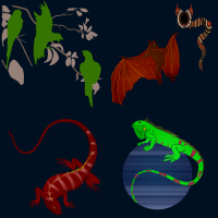 Dragons