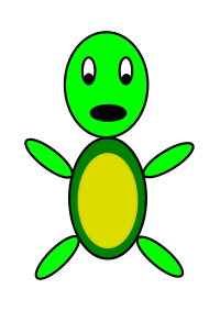 turtle guy
