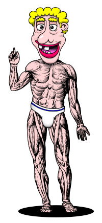 CRAZY GUY body remix