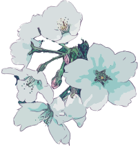 Cherry Blossoms - Isolated Mix