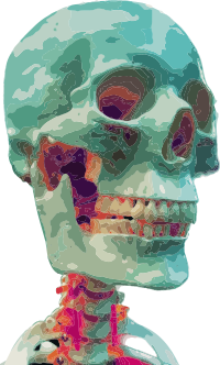 Creepy Skull