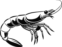 Shrimp