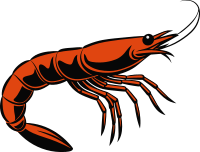 Shrimp - Colour Remix