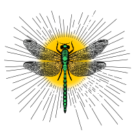 Dragonfly and the Sun