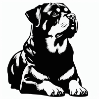 Rottweiler Dog 