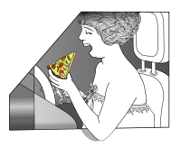 Lady with Roses - PIZZA REMIX