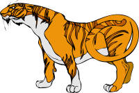 Architetto -- tigre 1
