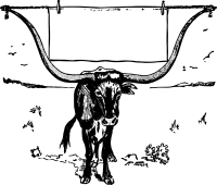 Steer Frame