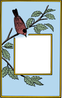 Bird Frame - Colour Remix