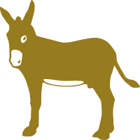 Donkey