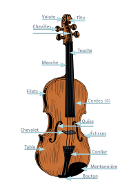 Anatomie d'un violon