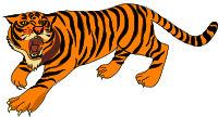 Architetto -- tigre 03