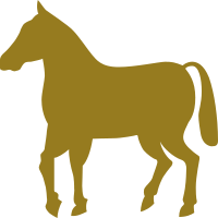 Horse without wagon