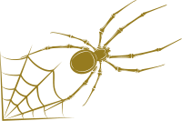 Spider with web