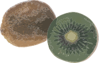 Kiwi