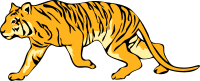 Architetto -- tigre 05