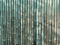 Bamboo Fence