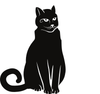 black cat sitting alone