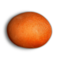 Ripe Juicy Mango