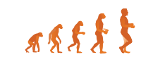 Evolution Steps