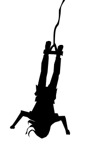 Bungee Jumping Silhouette