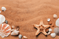 Beach Background