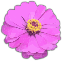 Pink Flower