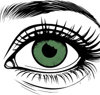 Eye