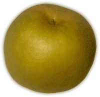 Asian Pear