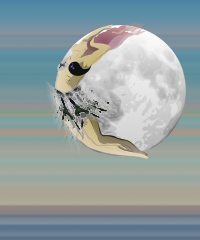Selenium