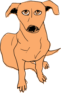 Perro
