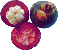 Mangosteen Fruit