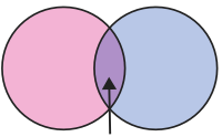 pink purple blue venn overlap diagram