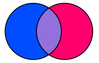 bright venn bisexual colors