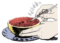Cut Grapefruit