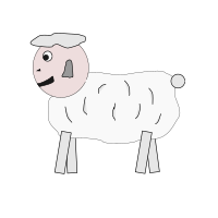Just a Sheep
