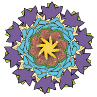  Mandala 2 - Colour