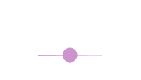 pelota