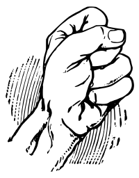 Fist